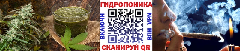 Купить где Кизел Canna-Cookies марихуана