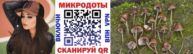 Галлюциногенные грибы Cubensis  Купить где  Кизел 